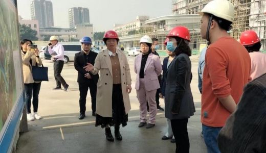江门市副市长周佩珊到江海区高新第一小学项目调研